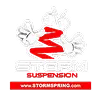 Storm Spring Logo